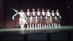 نمایش 