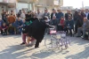 درخشش هنرمندان کرد در جشنواره کرکوک 4