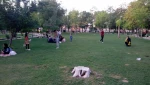 نمایش 