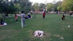نمایش 