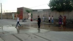 نمایش 