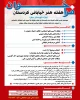 هفته هنر خیابانی کردستان 2