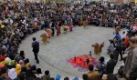 جشنواره بین‌المللی تئاتر خیابانی مریوان