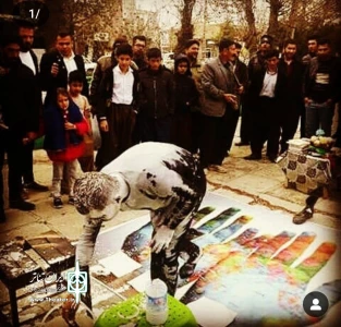 نمایش خیابانی «دنیای رنگی با کتاب» در سطح شهر کامیاران اجرا شد
